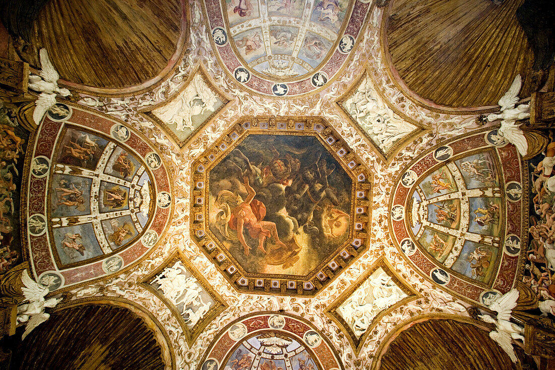 Te Palace: Camera delle Aquile . Montova. Lombardy, Italy
