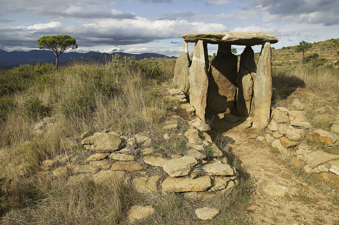 Dolmen de las Vinyes Mortes I (4th Millenium B.C.). Alt Empordá. Costa Brava. Girona province. Catalunya. Spain