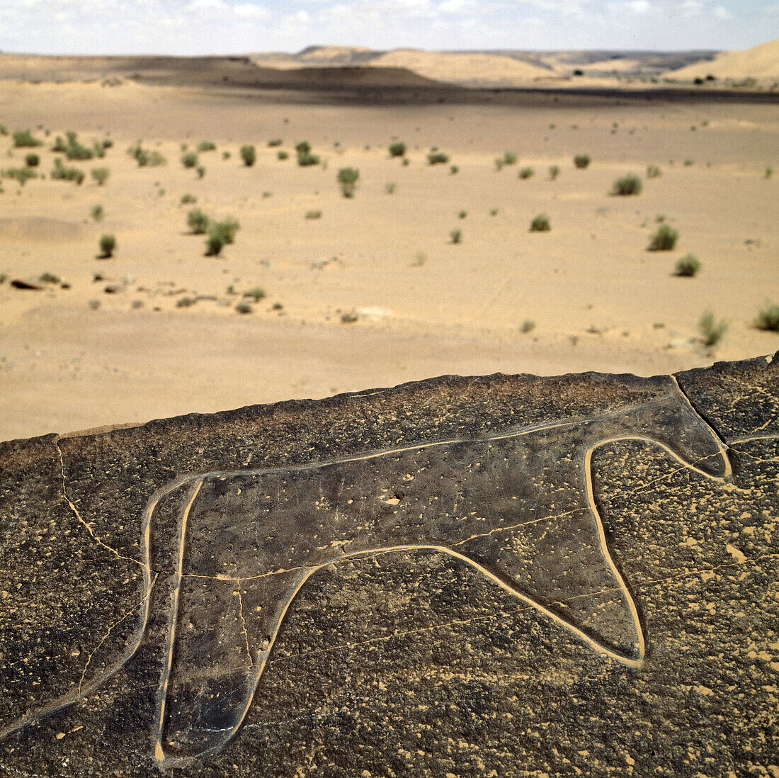 Prehistoric rock engraving (6000 BC). Taghit. Sahara desert. Algeria.