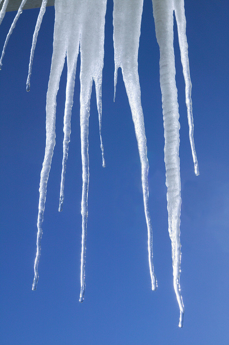 Icicles. Winter. Finland.