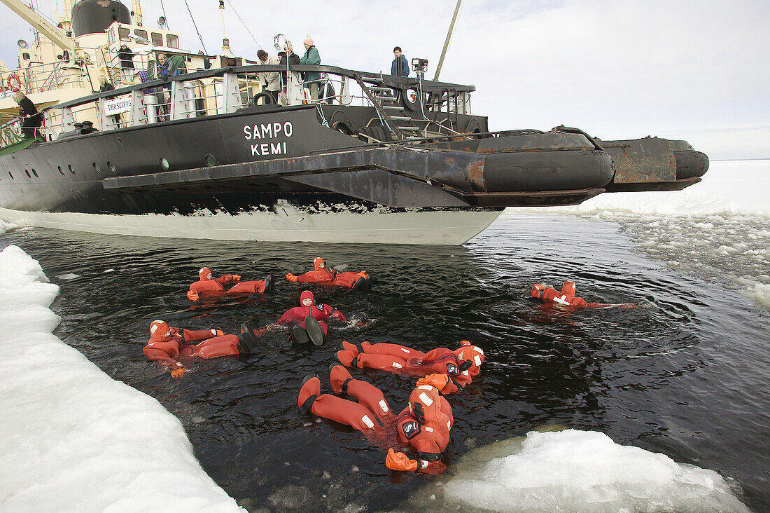 Diving in iced Baltic Sea, floating with special costumes. Sampo Icebreaker. Kemi. Gulf of Bothnia. Baltic Sea. Finland.