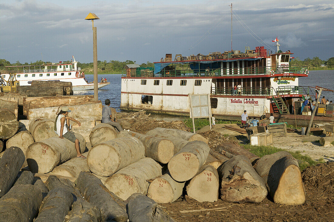 Cut trees, prepared for the transport in Amazon. Ships at the back. Deforestation. Iquitos. Peru