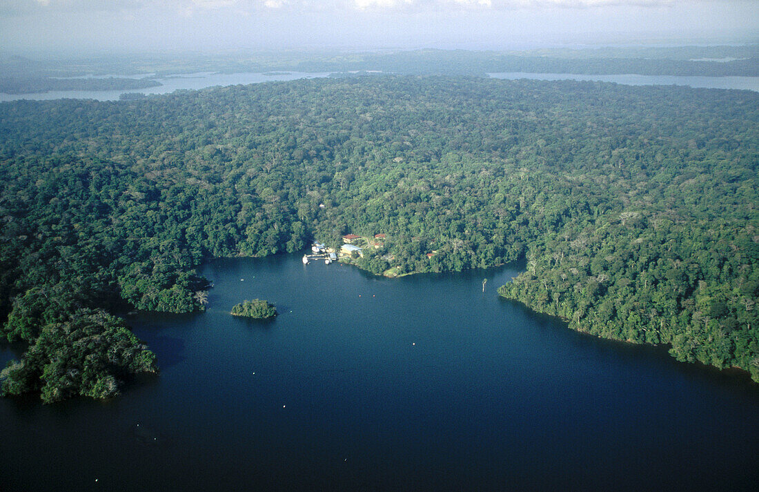 Smithsonian Tropical Research Institute (STRI). Barro colorado Island, Panama