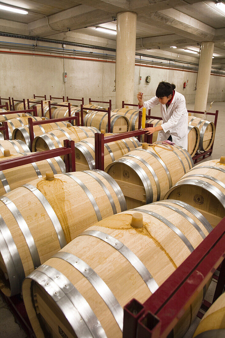 Oenologist checking the evolution and characteristics of wine. Bodegas Baigorri. Architect Iñaki Aspiazu. Samaniego. Alava. Euskadi. Spain.