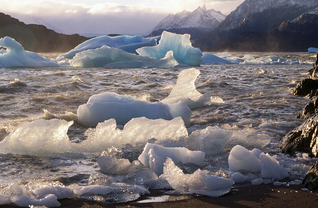 Grey Lake. Torres del Paine National Park. Chile.