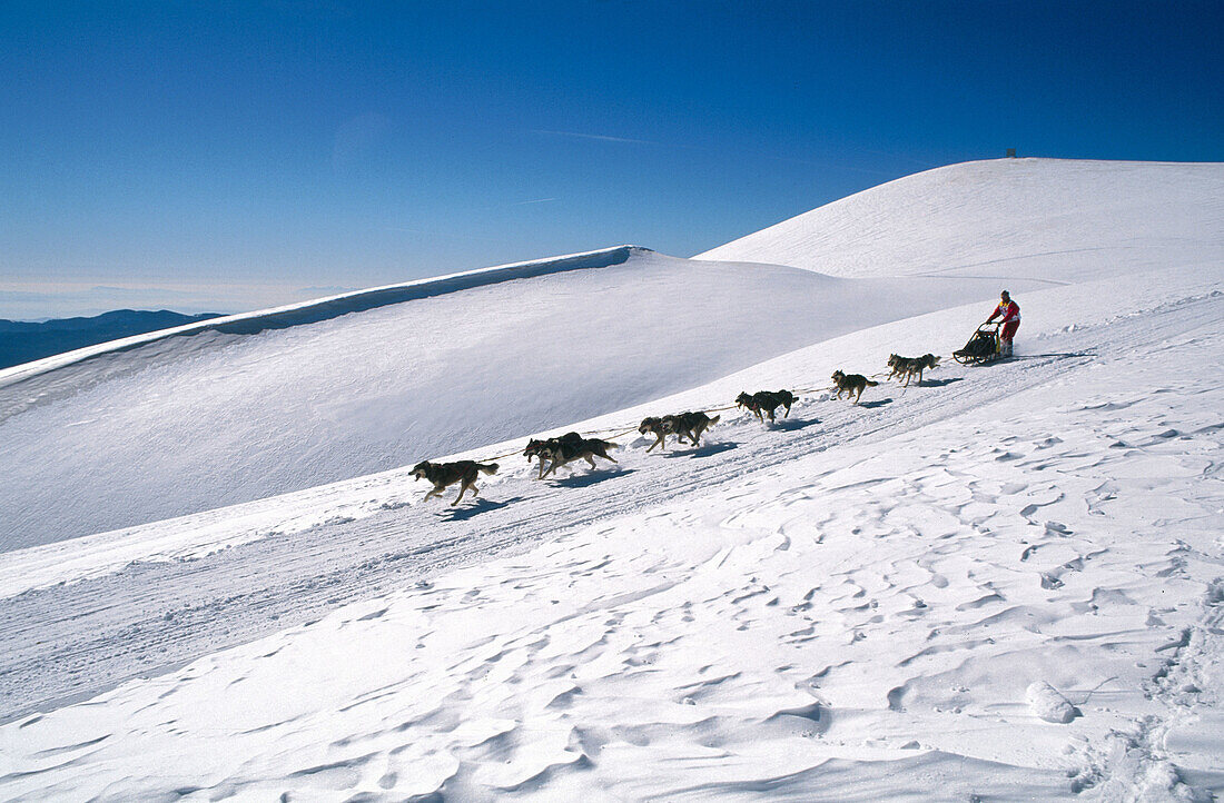 Pirena. Sled dog race in the Catalan Pyrenees going through Spain, Andorra and France.