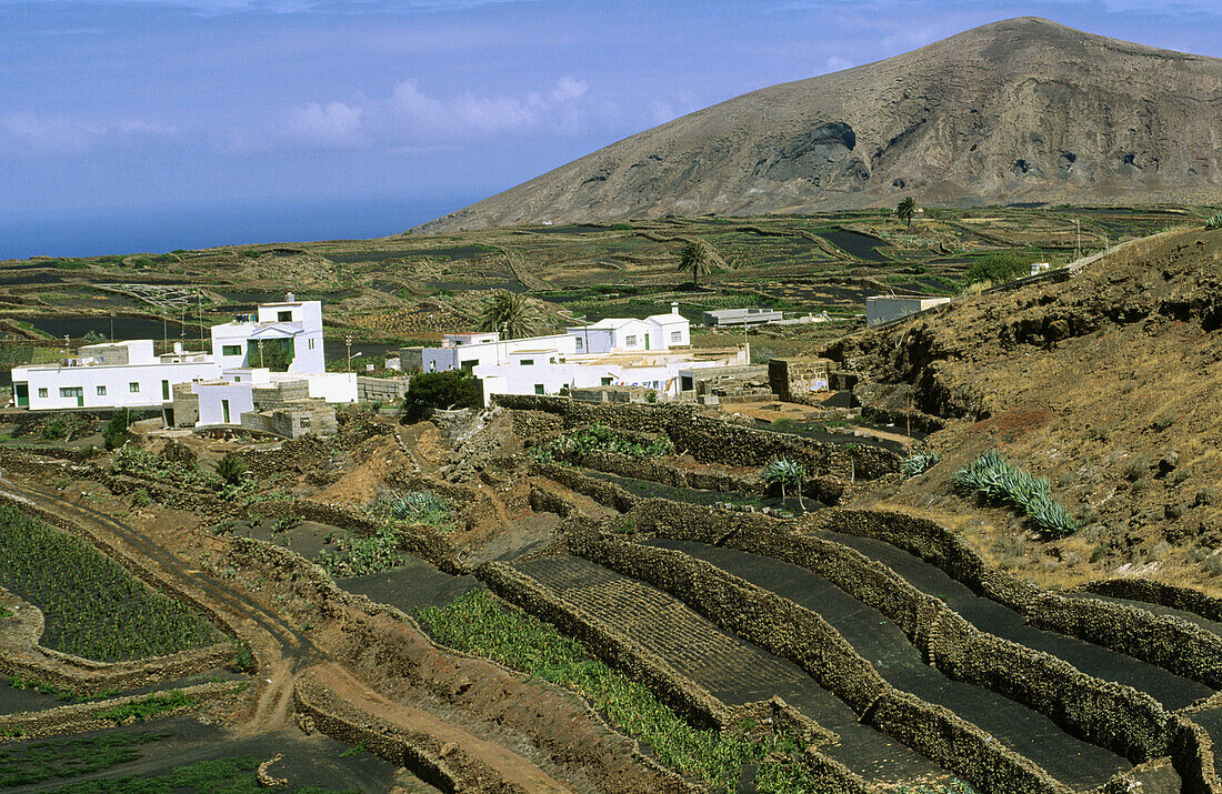 Old crater. Tinajo. Mancha Blanca. Lanzarote. Canary islands.