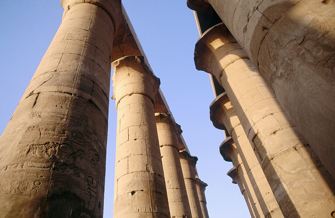 Luxor Temple. Luxor. Egypt