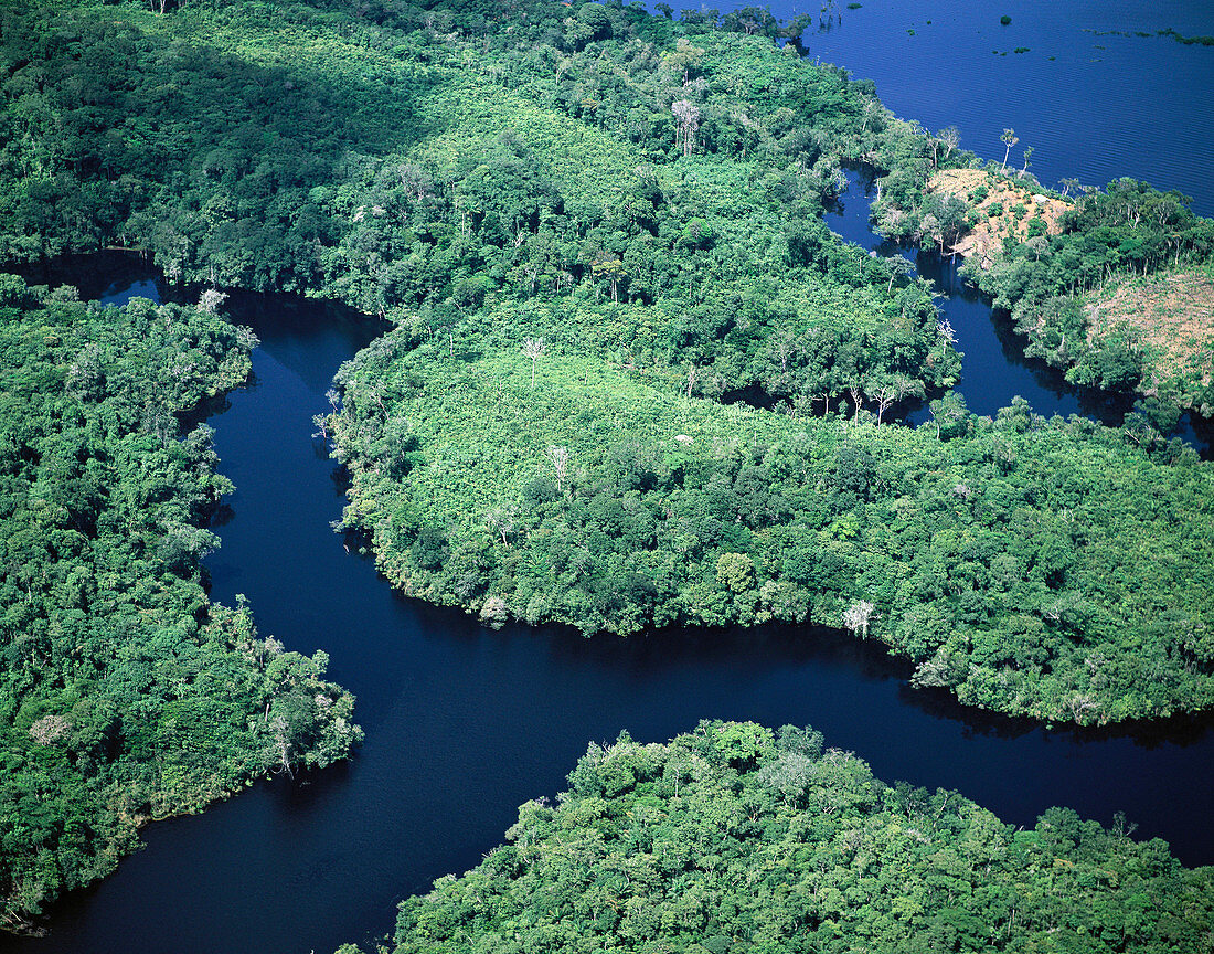 Amazon River. Rio Negro. Brazil