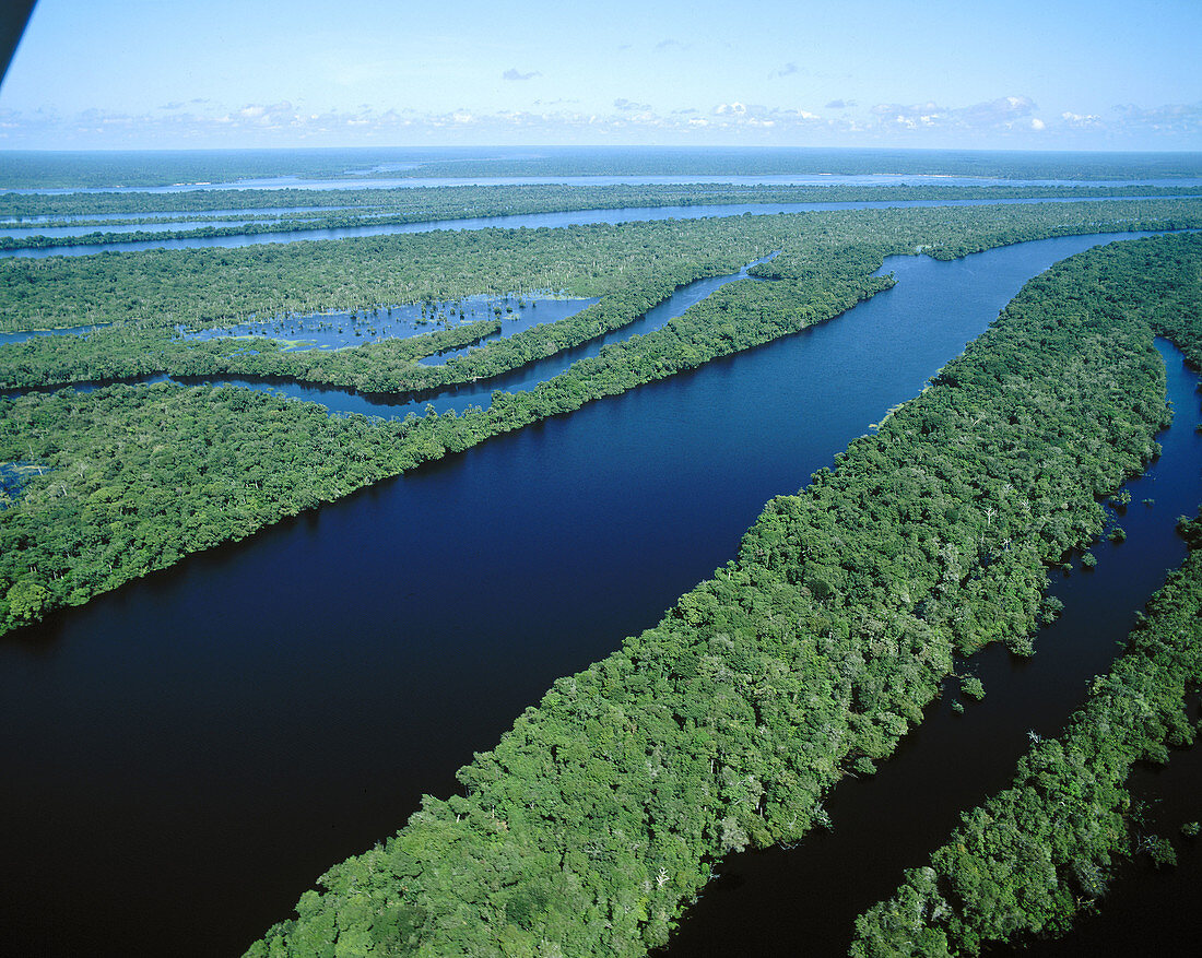 Archipelago of Anavilhanas at Amazon River, near Manaus. Brazil