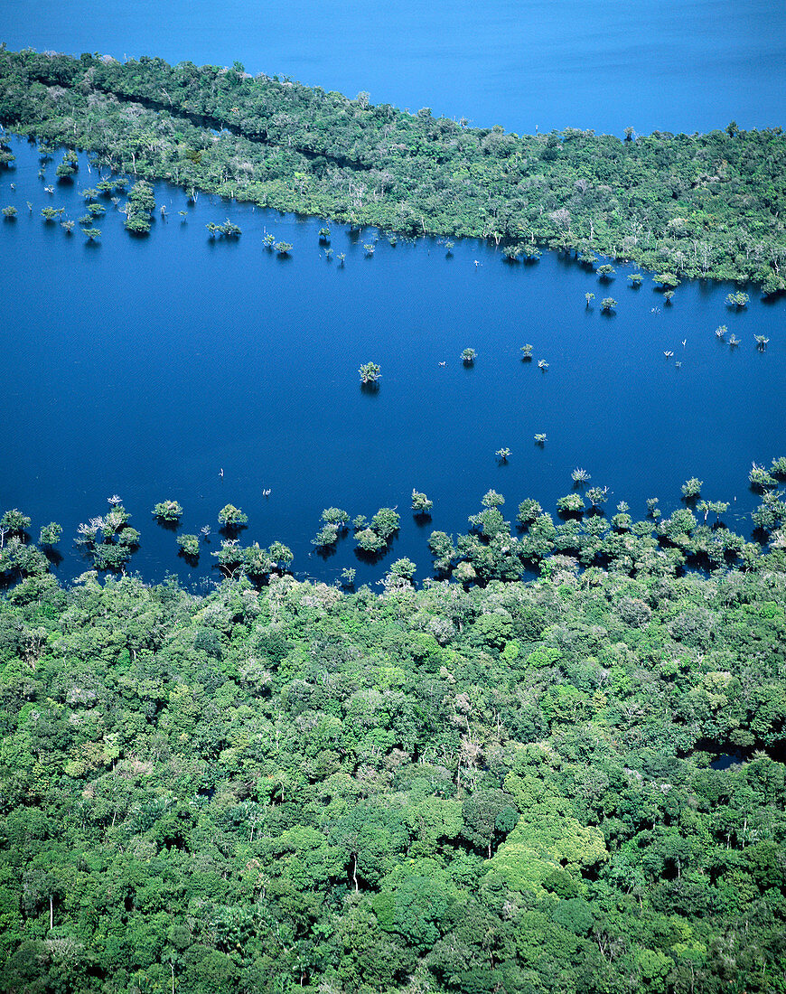 Amazon River. Rio Negro. Brazil