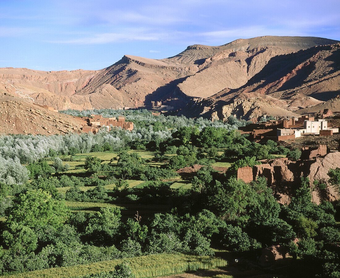 Dades Gorge. High Atlas. Morocco