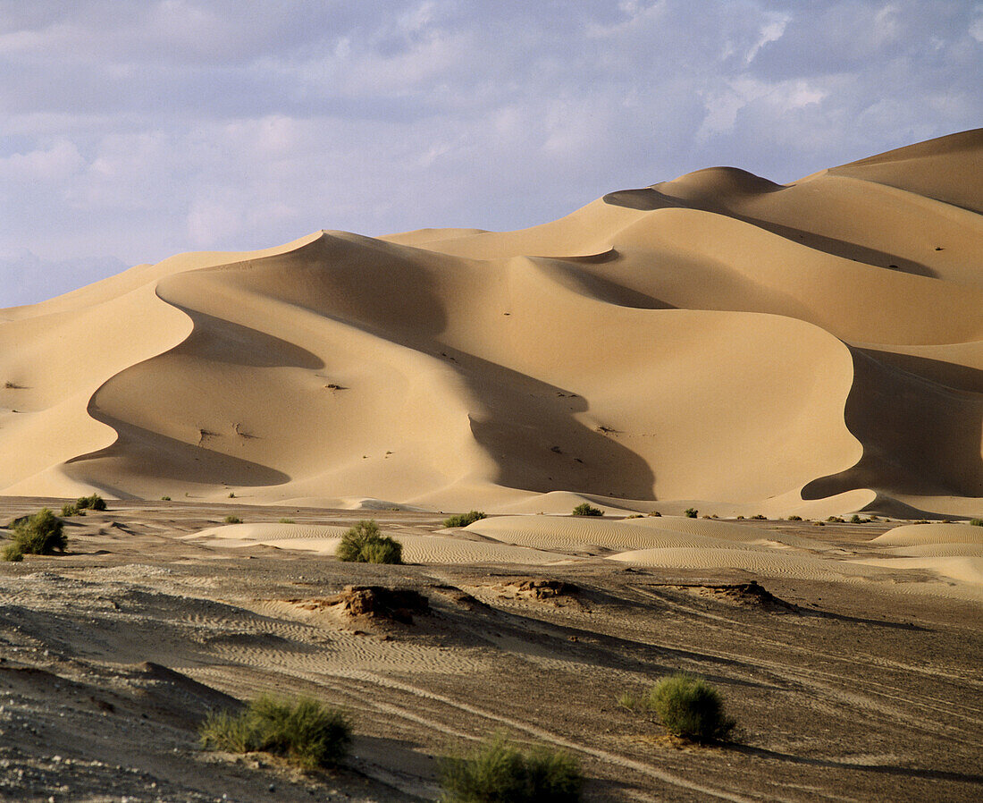 Dunes. Grand Erg Occidental. Sahara. … – License image – 70094568 ...