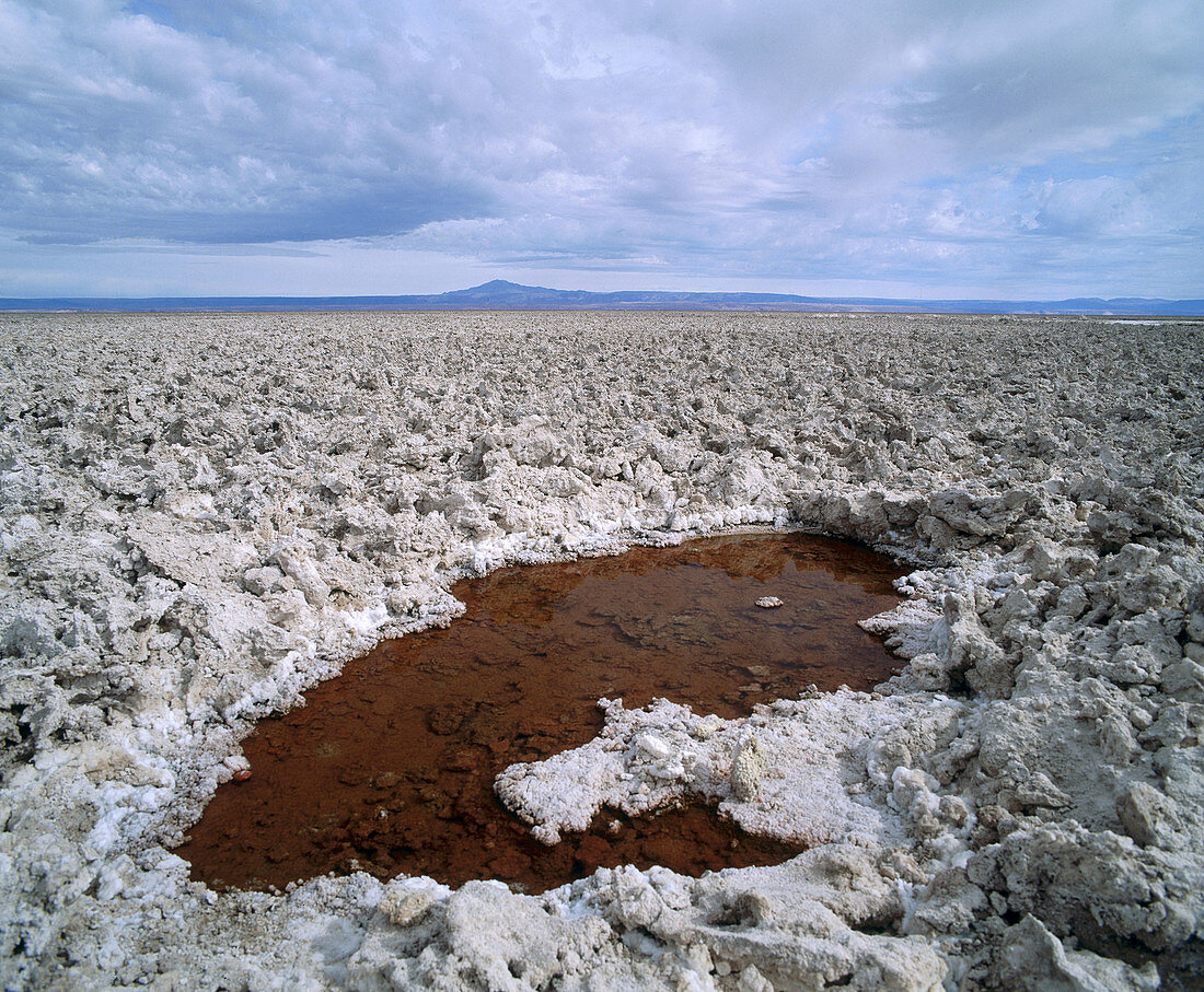 Salar de Atacama. Chile.