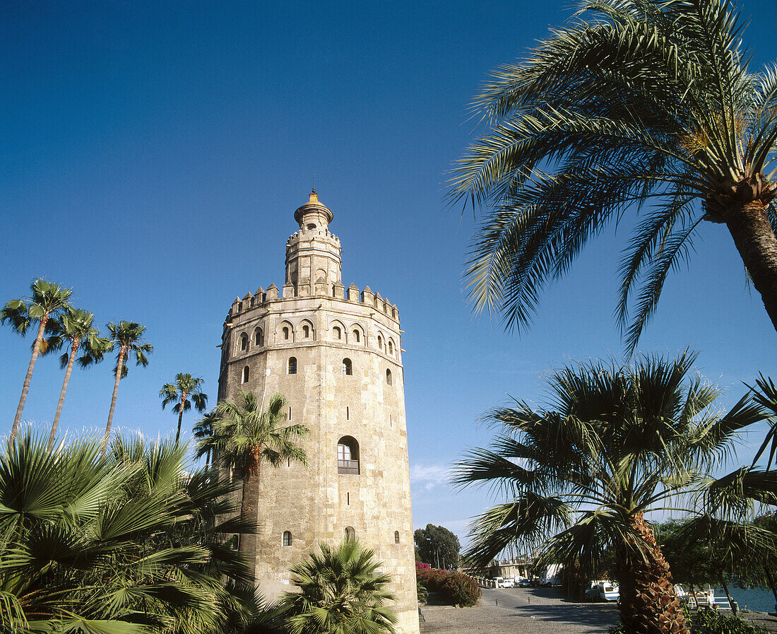 Torre del Oro, Sevilla. Andalucia. Spain.