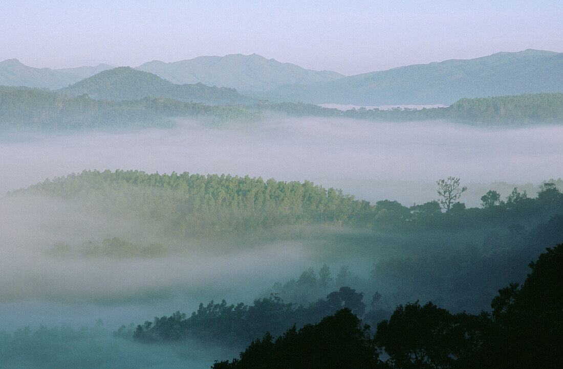 Misty landscape in morning. Karnataka. India