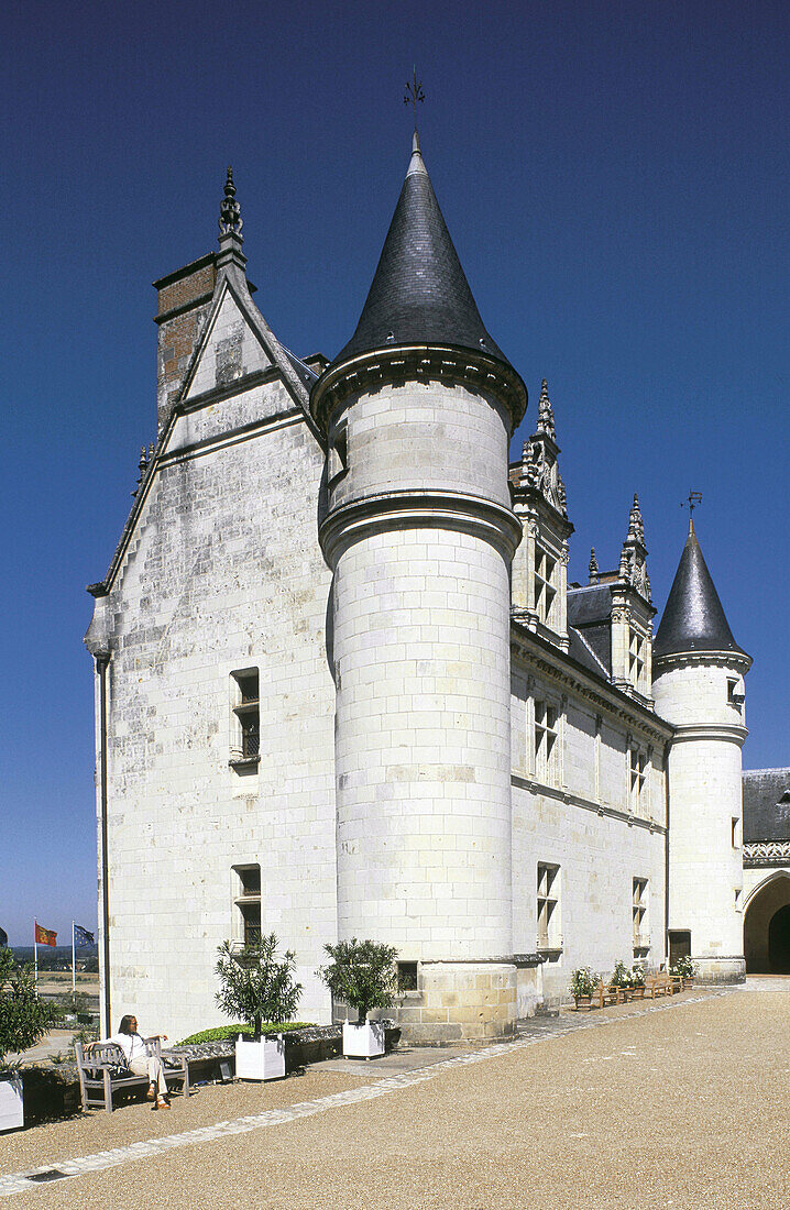 Château Amboise. Val-de-Loire. France
