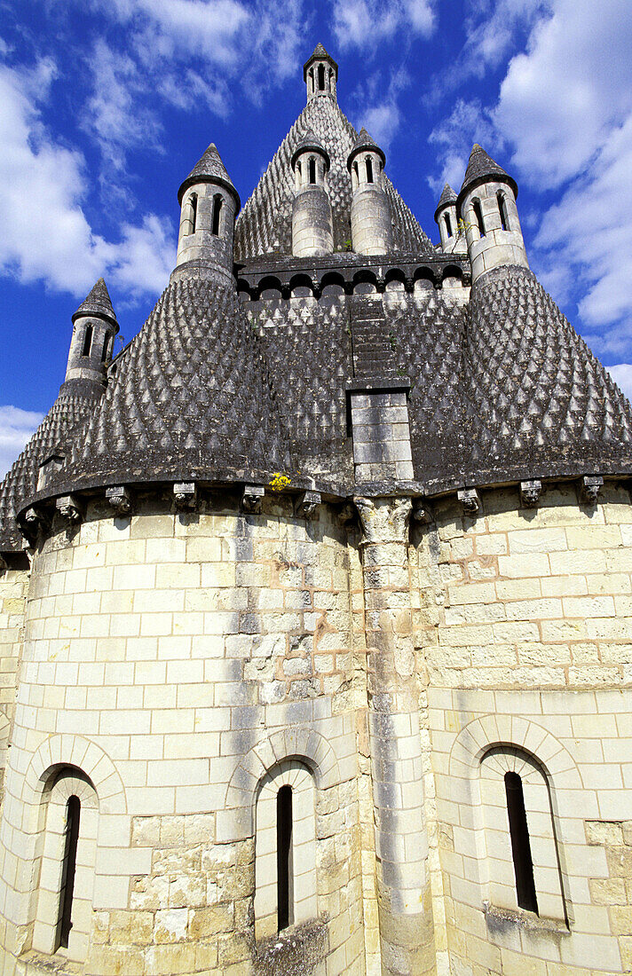 Building (12th-century double octagonal kitchen) roof vaults of Fontevraud abbey. Val-de-Loire. France
