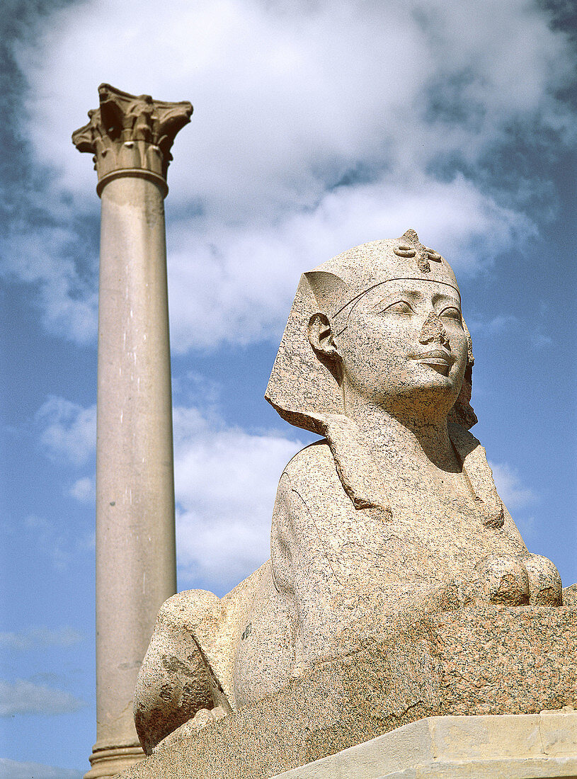 Pompey s Pillar and sphinx at old ruins of Sarapeum. Alexandria. Egypt