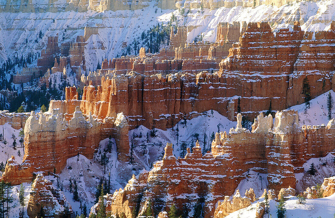 Bryce Canyon in winter at sunrise. Utah. USA