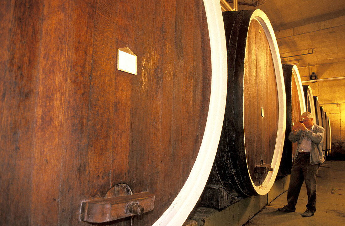 Wine maker tasting his production in cellar. Pozega. Croatia