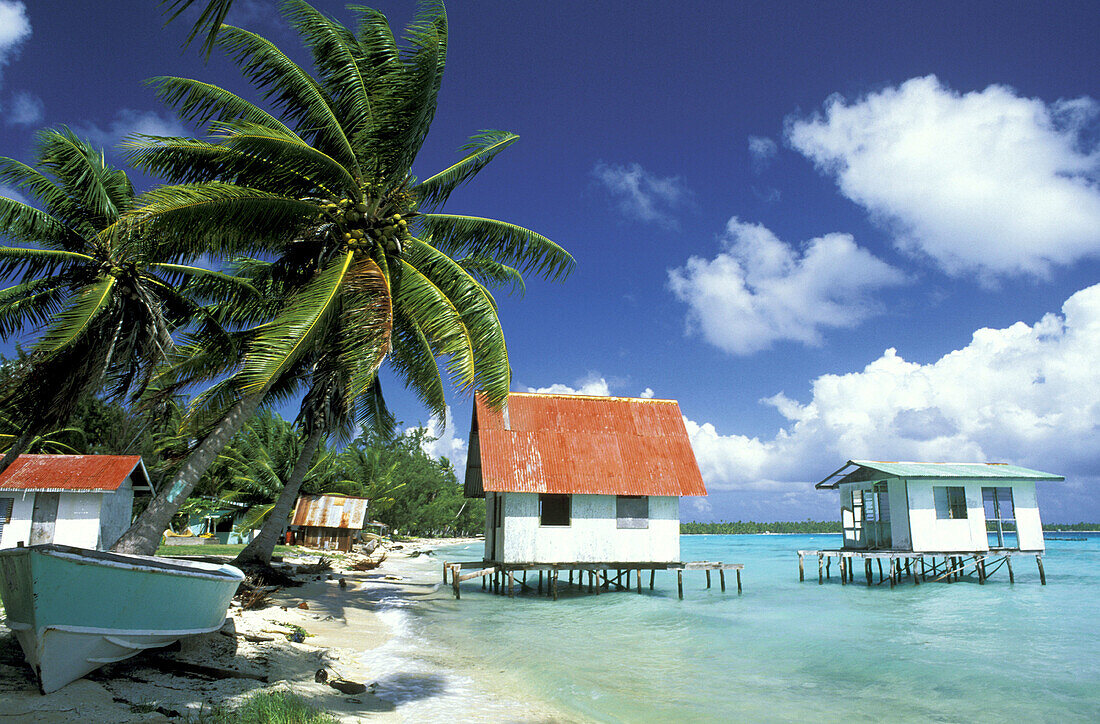 Small black pearl farm on stilts in the lagoon, coconut palmes at foreground. Tuamotu Islands. French Polynesia