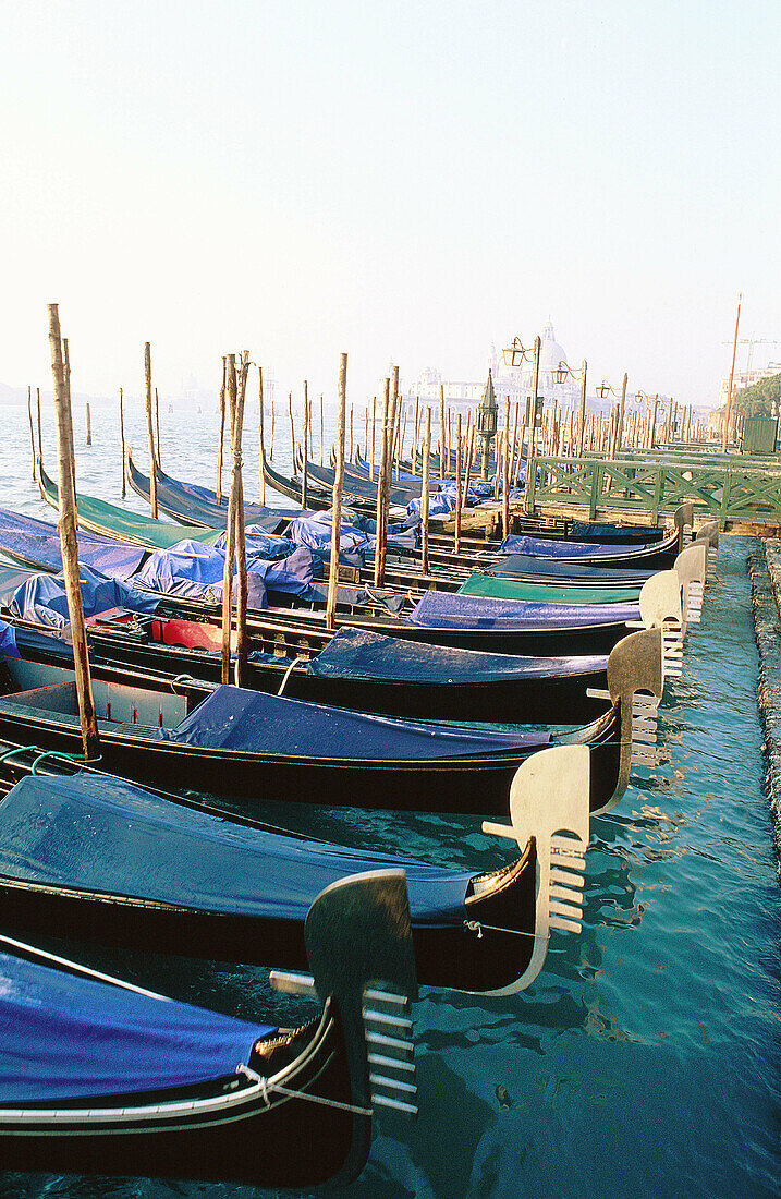 Gondolas. Venice. Italy