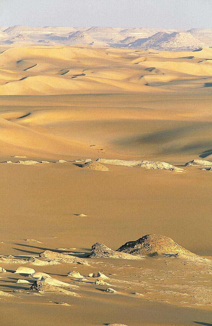 Great Sand Sea at sunrise, Lybian desert, Siwa Oasis. Egypt