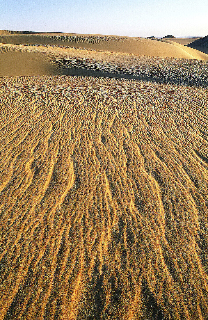 Sand dunes at sunrise. Djanet oasis, Sahara. Algeria