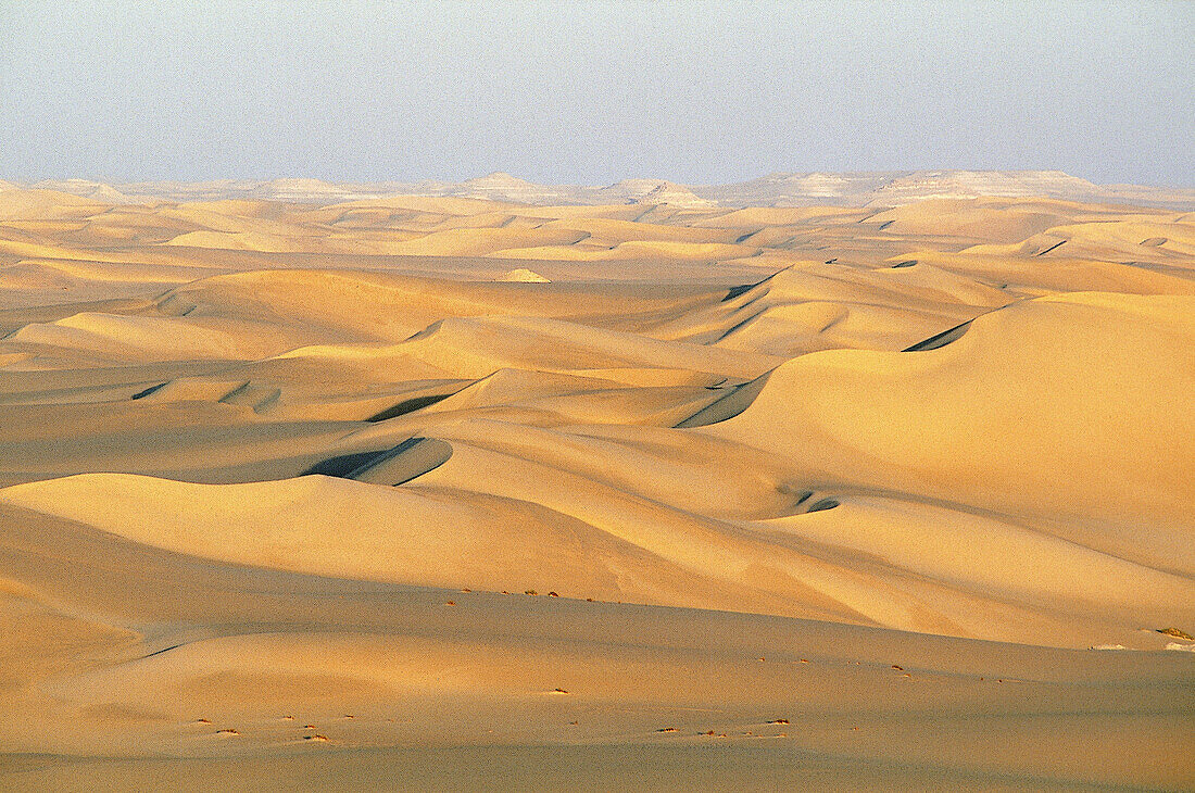 Landscape of dunes, North of Djanet oasis. Sahara desert. Algeria