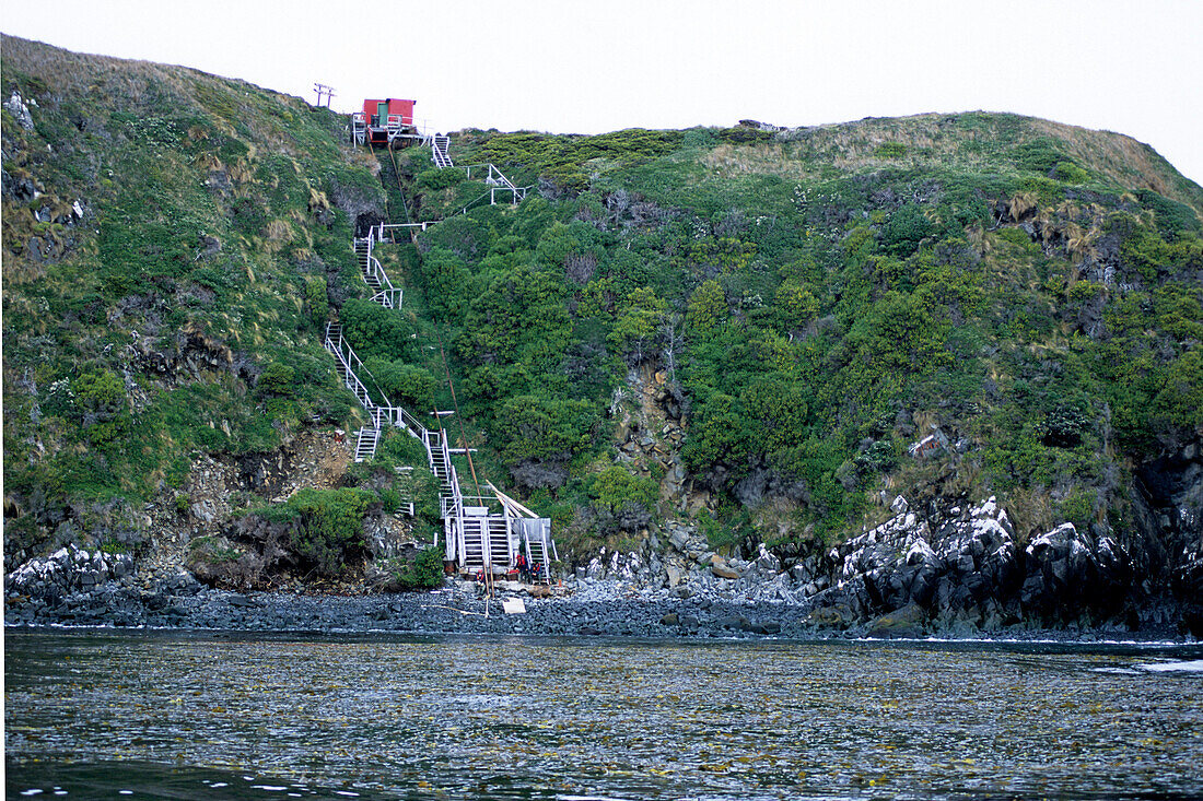 Stairway to Cape Horn, Cape Horn, Patagonia, Argentina