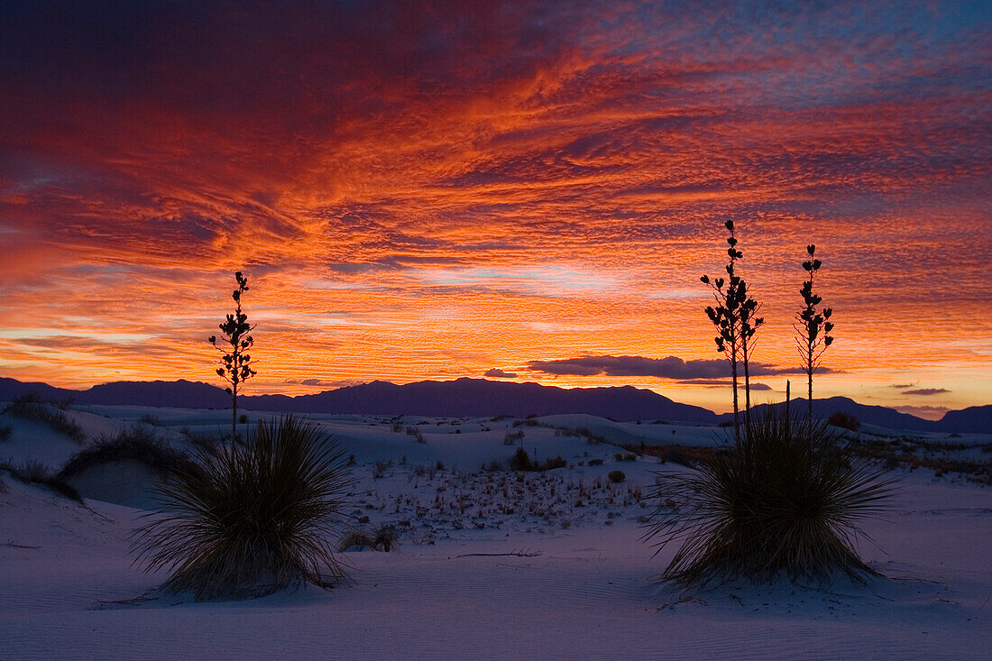 Dünen, Licht und Schatten, White Sands National Monument, New Mexico, USA