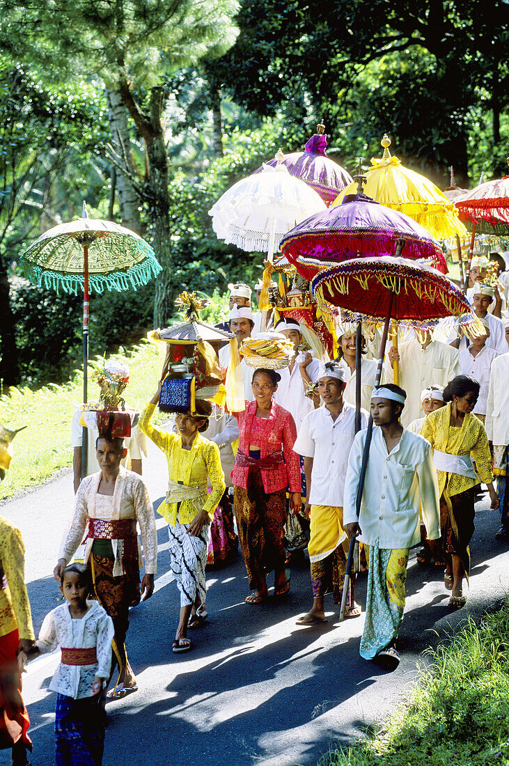 Procession for Odalan festival from Manenga. Bali island. Indonesia