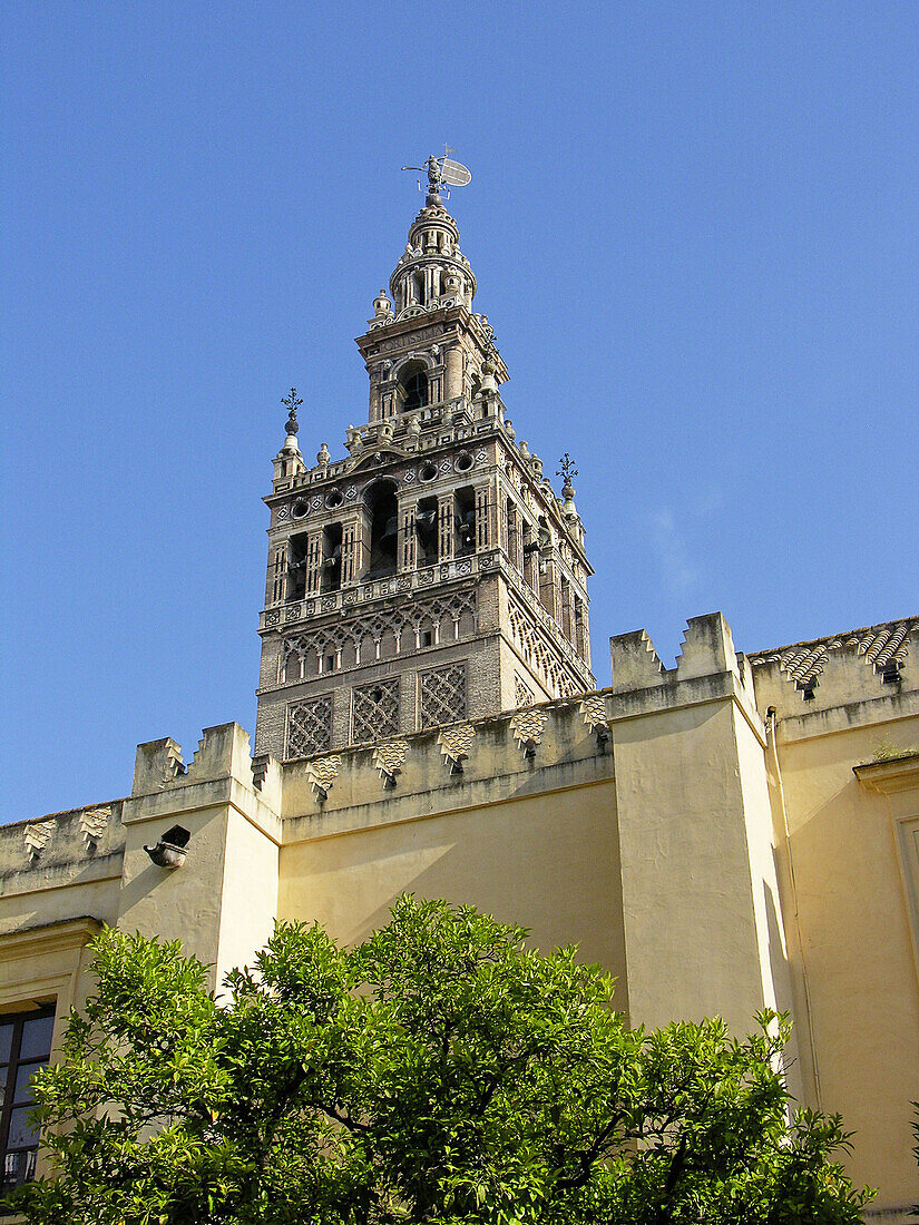 The cathedral and Giralda tower (formerly a mosque minaret). City of Sevilla. Andalucia. Spain