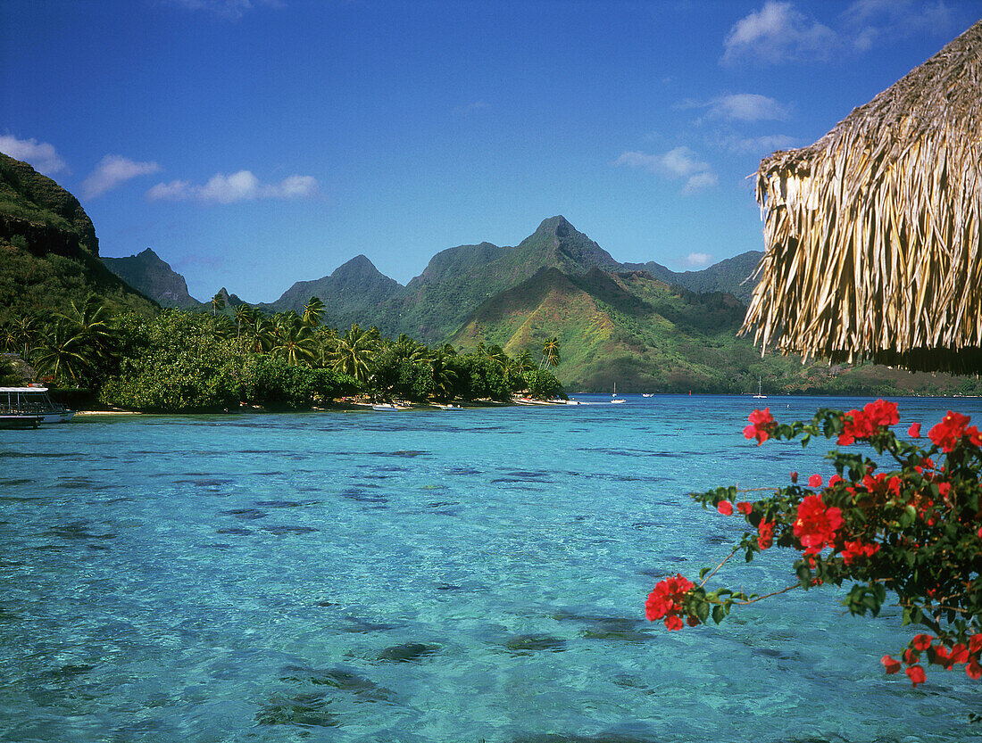 The lagoon. Bora Bora island. French Polynesia