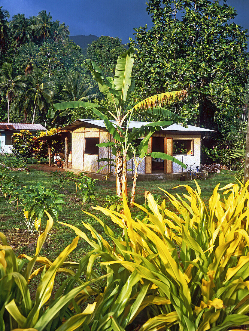 Local house inTaipi Vai valley. Nuku Hiva island. Marquesas archipelago. French Polynesia