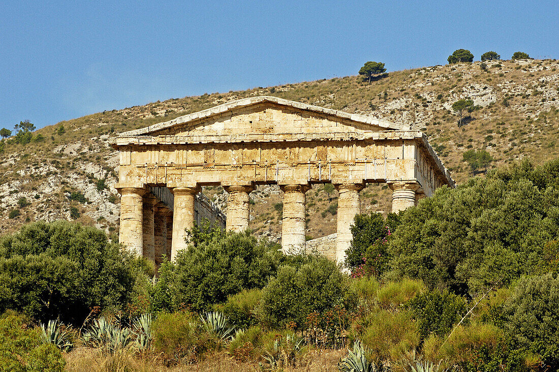 Temple of Segesta built 5th century AD in classical doric style probably by the greek. Sicily. Italy