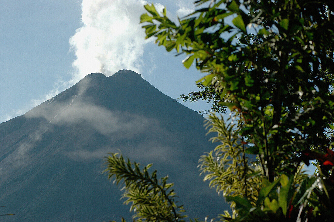 Arenal Volcano National Park. Costa Rica