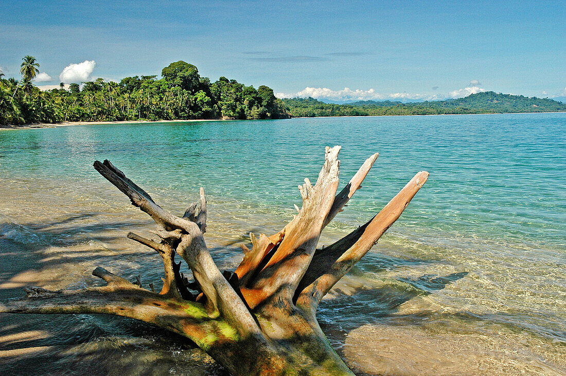 Beach, Caribbean coast. Costa Rica