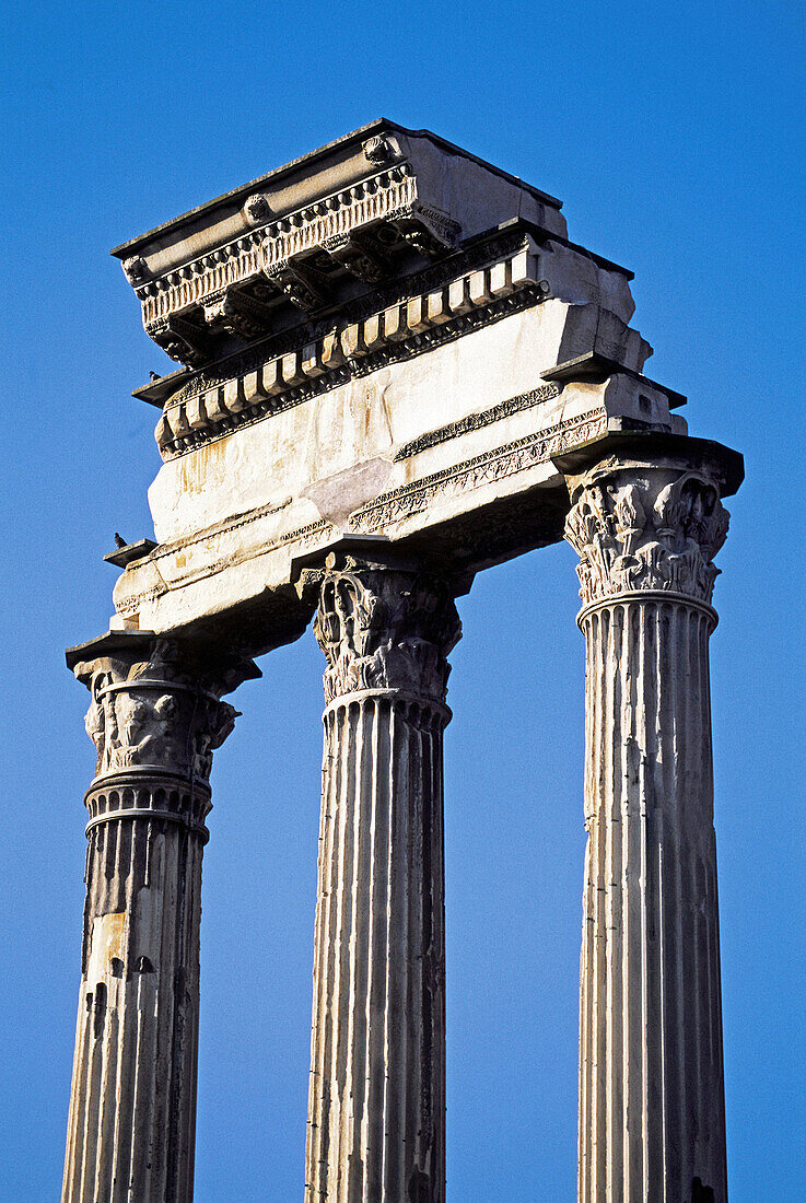 Roman forum ruins. Rome, Italy