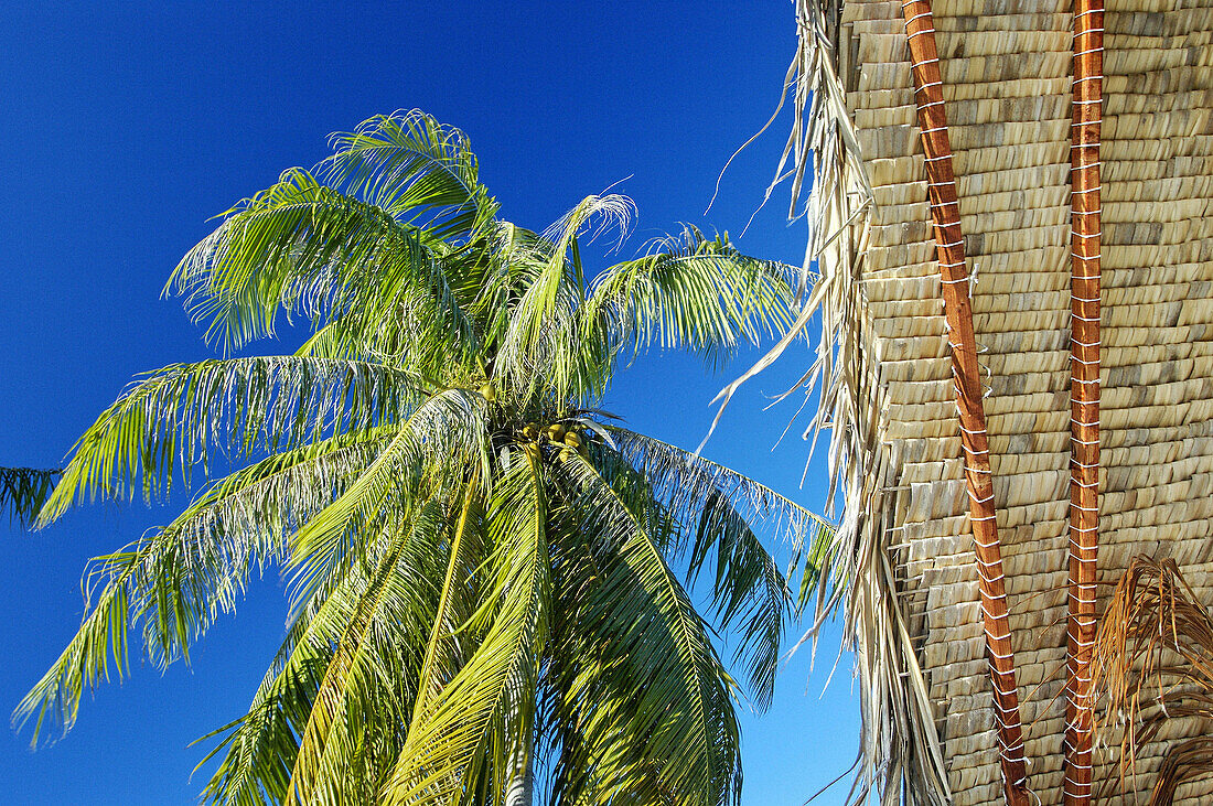 Bora Bora island. French Polynesia. South Pacific.