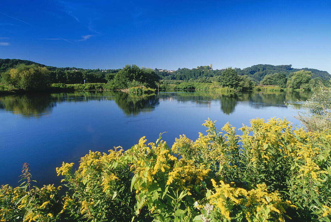 Fluß mit Hattingen im Hintergrund, Ruhrtal, Ruhr, Ruhrgebiet, Nordrhein Westfalen, Deutschland