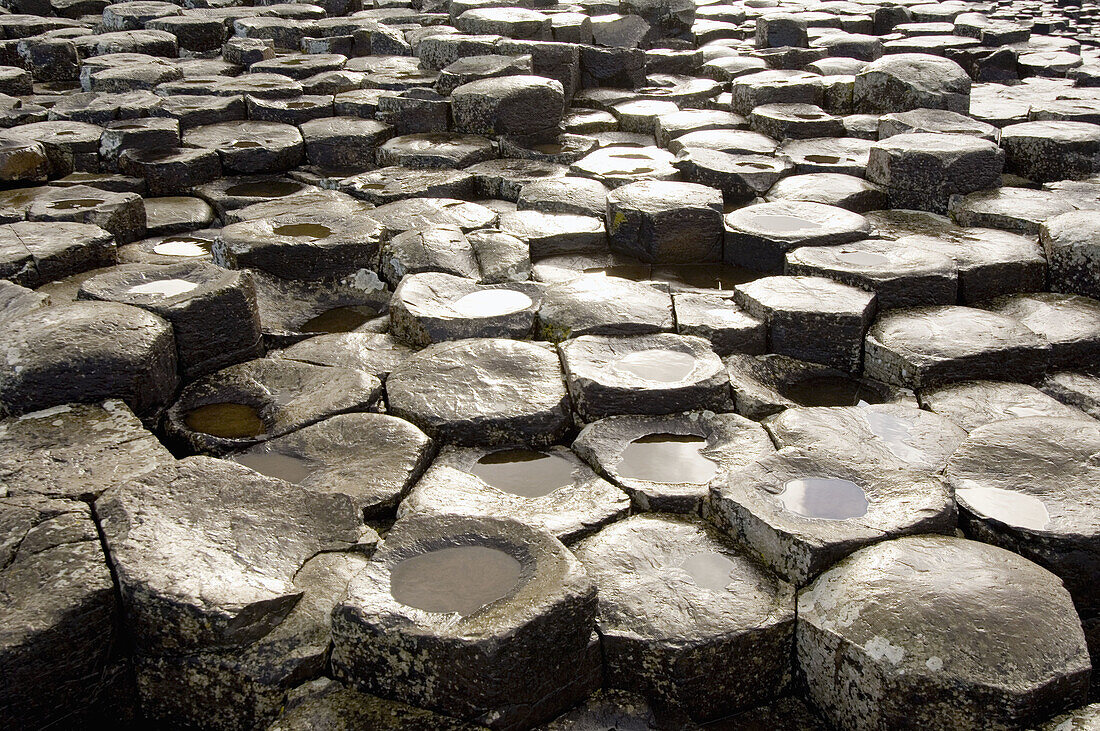 Giant s Causeway. North Ireland. Ireland.