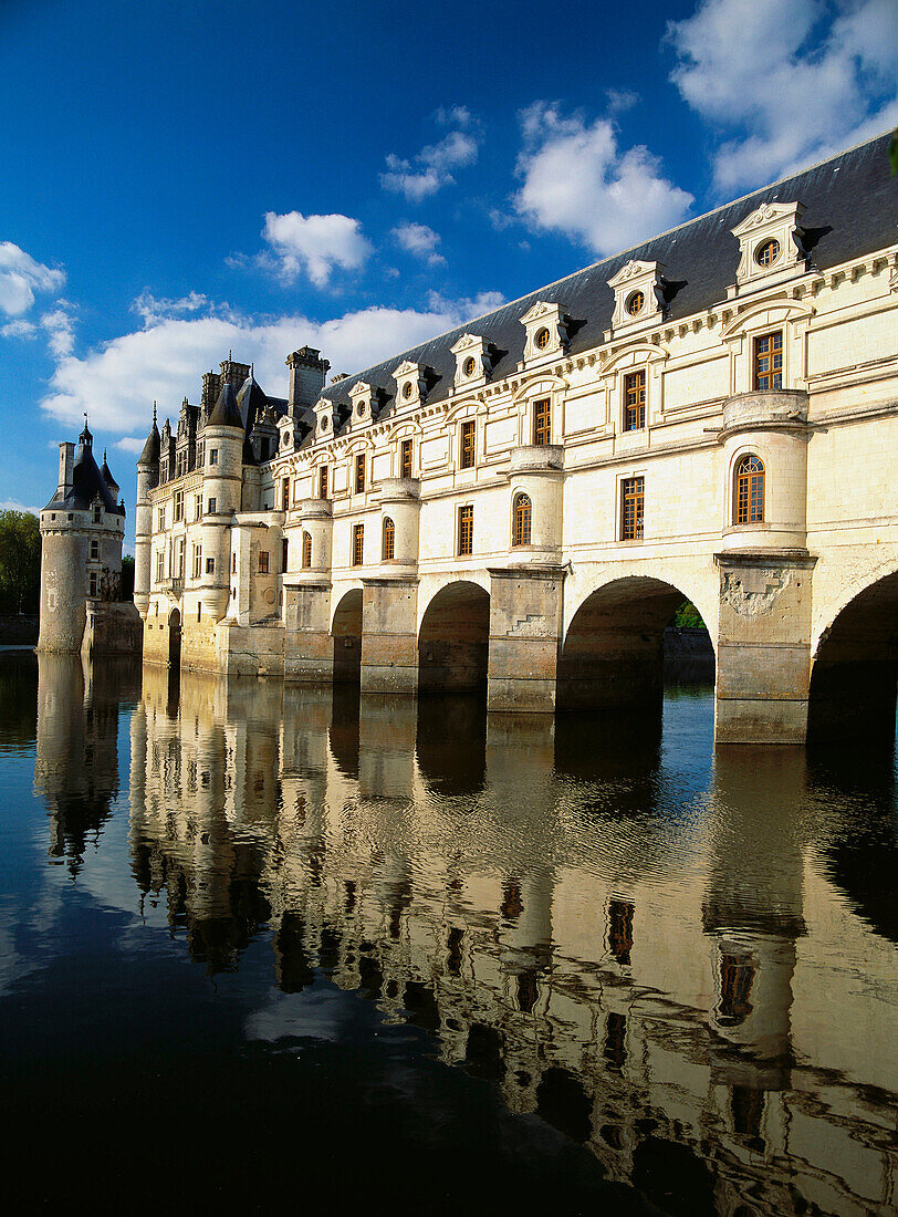 Cher River. Chenonceaux Castle. Loire Valley. France