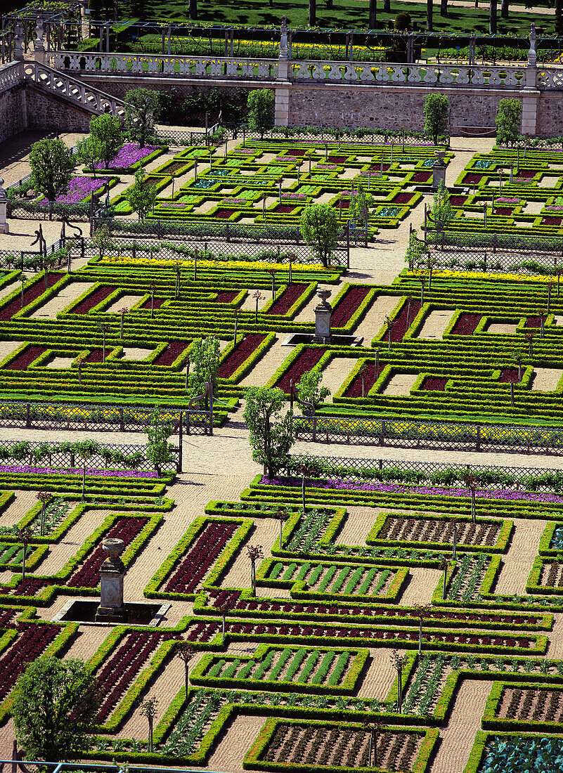 Château de Villandry. Touraine. Loire Valley. France