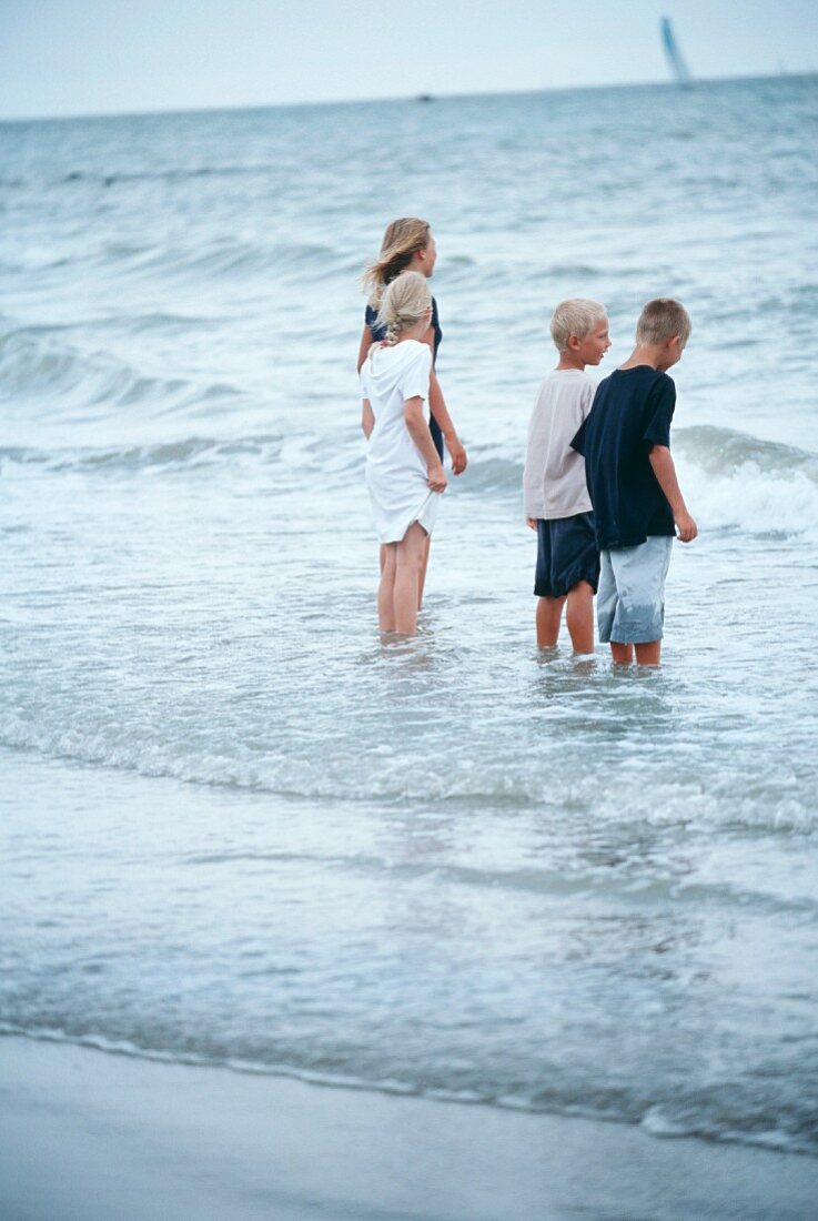 Vier Kinder stehen im Meer