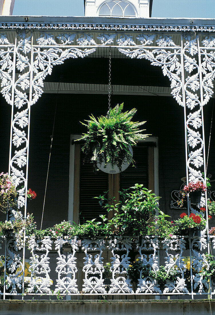 Cast iron balcony in French Quarter. New Orleans. Louisiana. USA