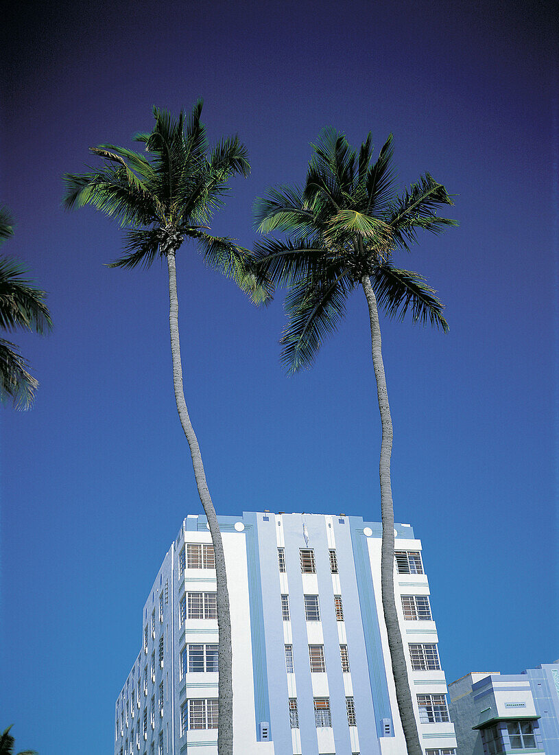 Art Deco building and palms. Miami Beach. Florida. USA