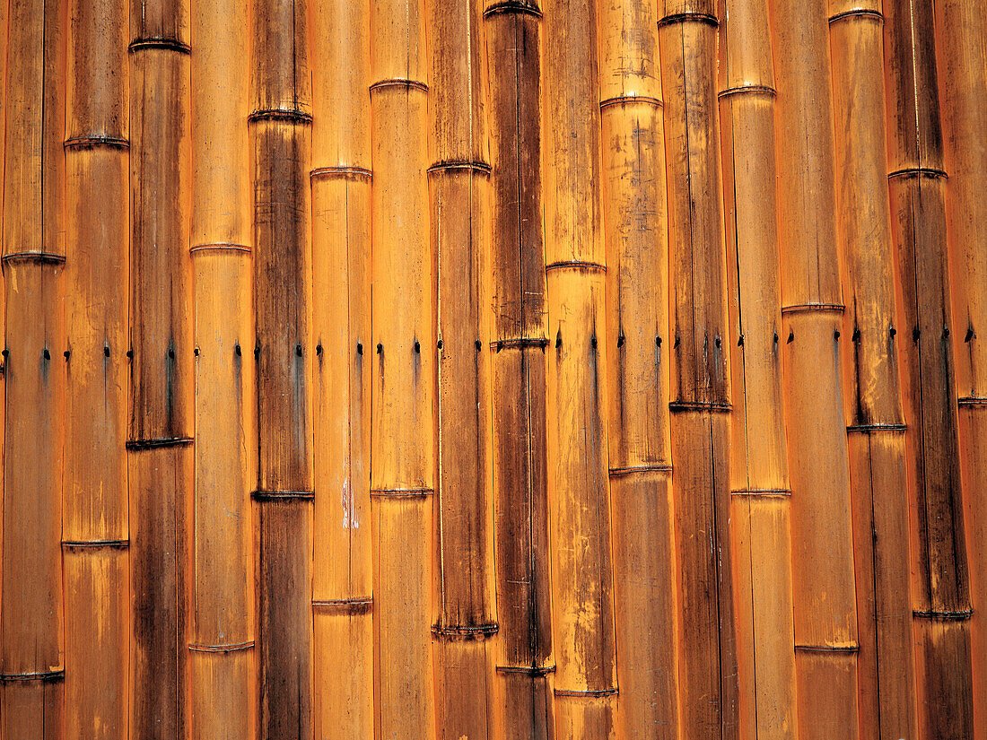 Bamboos wall. Kyoto. Japan
