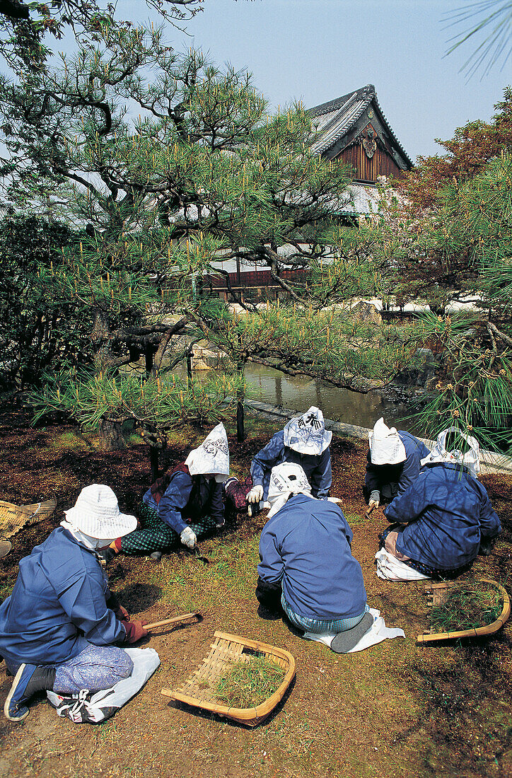 Gardeners. Nijo-Jo (Nijo Castle). Kyoto. Japan
